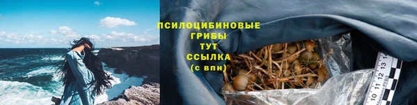 амф Магас