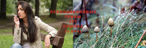 ECSTASY Лихославль