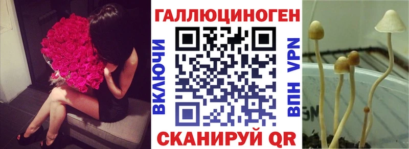 Псилоцибиновые грибы мицелий Нижний Ломов